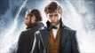 What The Critics Hated About Fantastic Beasts 2