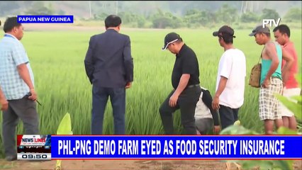 PHL-PNG demo farm eyed as food security insurance