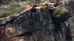 Des chiens chutent d’une falaise lors d’une chasse au cerf