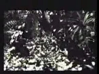 Resident Evil Ø - Billys History