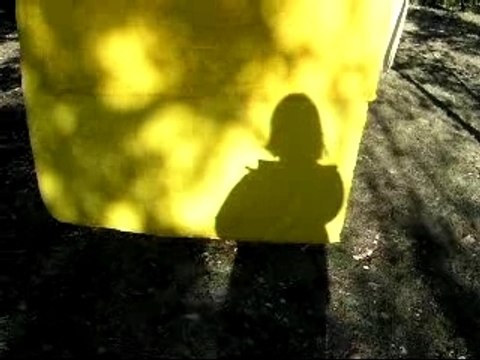 Bonne Année 2008 !!