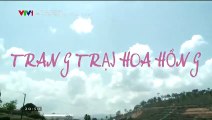 Trang Trại Hoa Hồng Tập 31 - Phim Việt Nam VTV1 - Ngày 19/11/2018 - Trang Trai Hoa Hong Tap 31 - Trang Trai Hoa Hong Tap 32