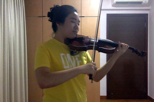 Mozart Violin Concerto No. 5 1st Mvt