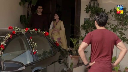 Aik Larki Aam Si Epi 105 HUM TV Drama 19 November 2018