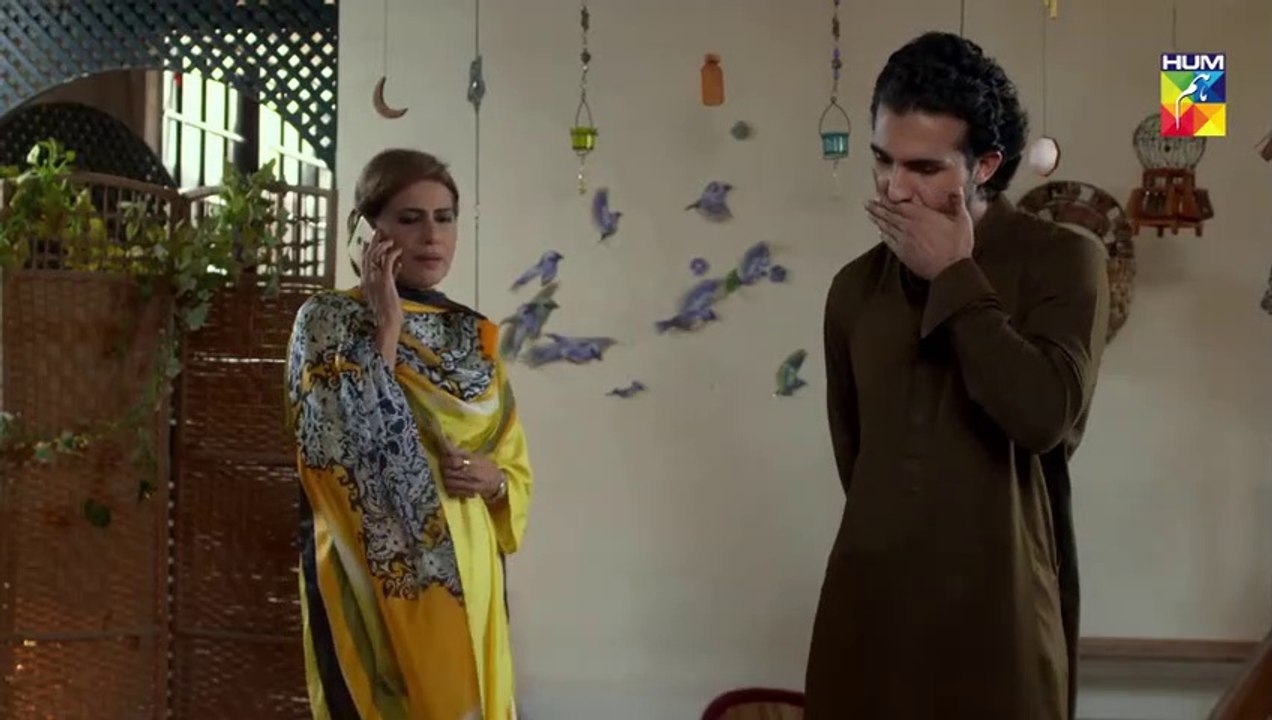 Bisaat e Dil Epi 07 HUM TV Drama 19 November 2018
