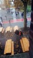Un bar de supporters de Valenciennes attaqué par des Ultras de Lens