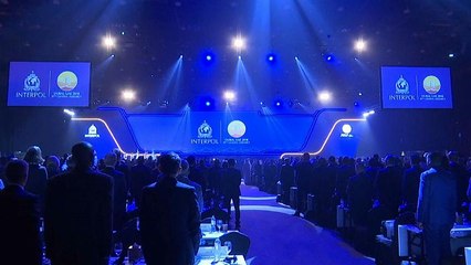 Ίντερπολ: Η Ουκρανία αντιδράει στον Ρώσο υποψήφιο πρόεδρο