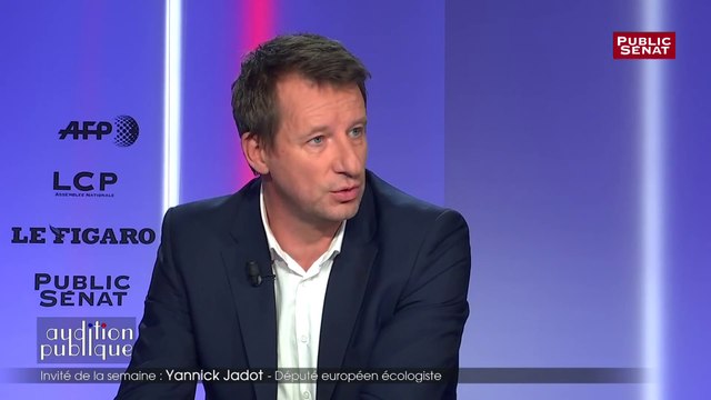 Carlos Ghosn : « Un fraudeur en série » tacle Yannick Jadot