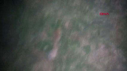 Antalya 'Köpeğin Pati ve Ayaklarını Keseni Görüp de İhbar Edene Para Ödülü Vereceğiz'e Ayaklarını...