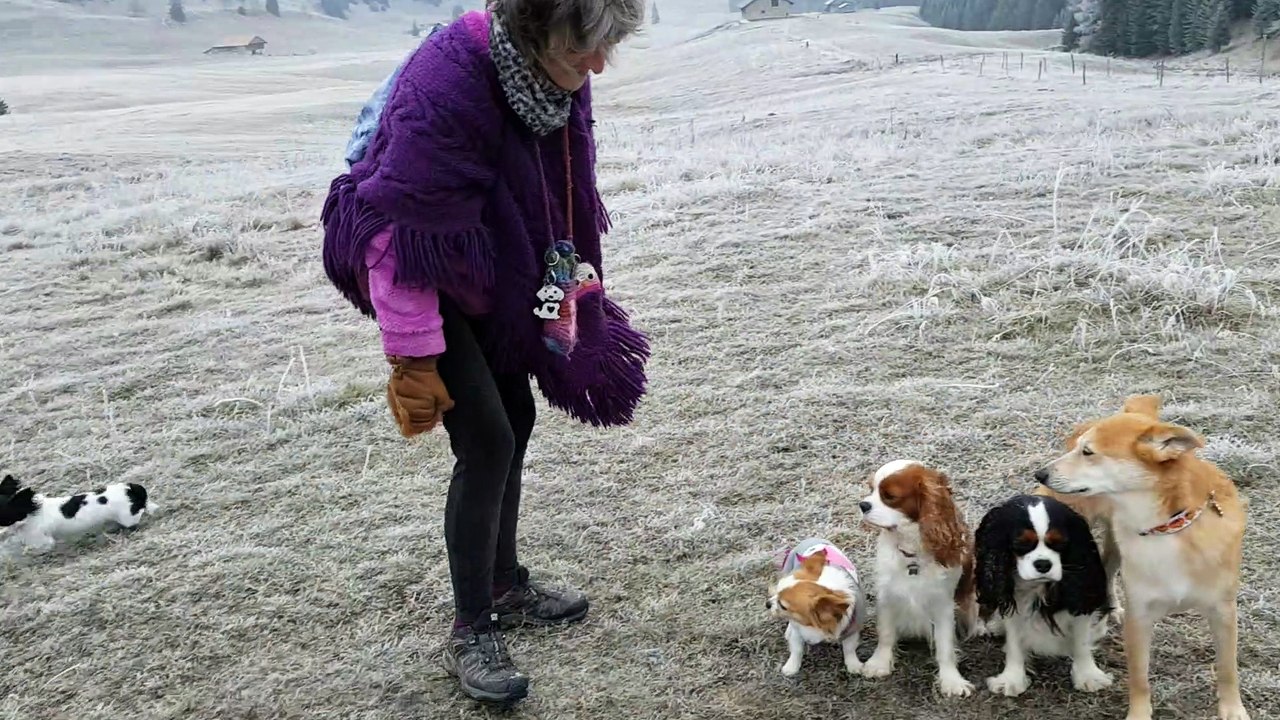 Nouage fait le zouave