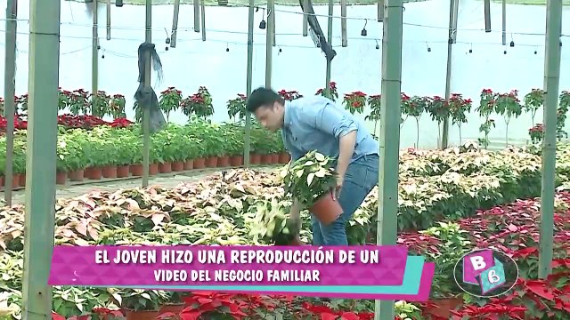 Conozca a Hermas el vendedor de pastoras