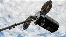 Cygnus пристыковался к МКС