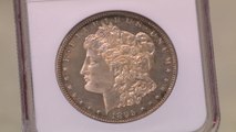 History|Pawn Stars|Extremely Rare 1895 Morgan Dollar|S11|E17