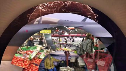 Carlos Ghosn, la chute