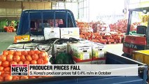 S. Korea's producer prices fall 0.4% m/m in October