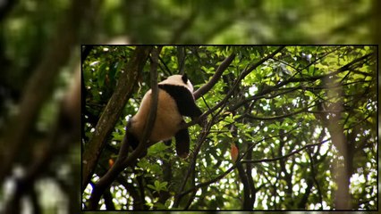 An Idiot Abroad S03E03 The Short Way Around China + C