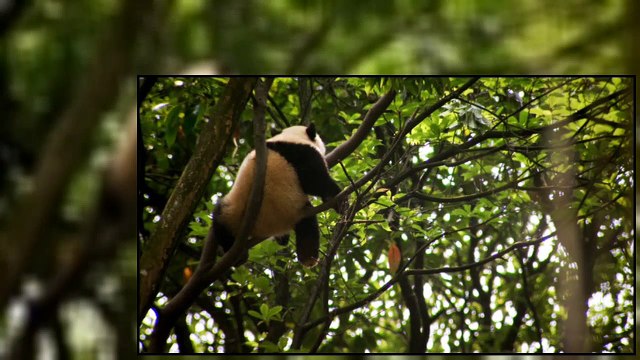 An Idiot Abroad S03E03 The Short Way Around China + C