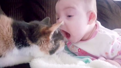 Baby and Cat Funny and Fails - Funny Baby Videos - Funny Cat Videos
