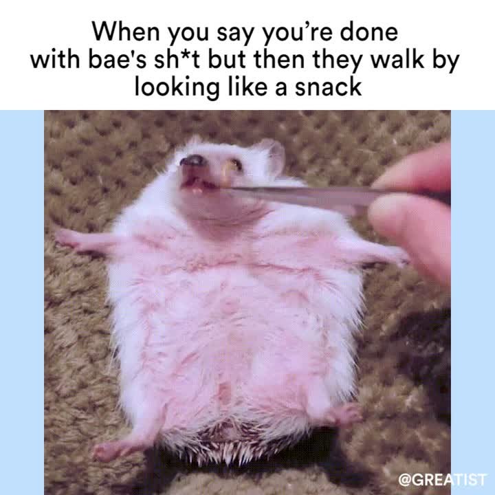 When you say you're done with bae's sh*t but th...