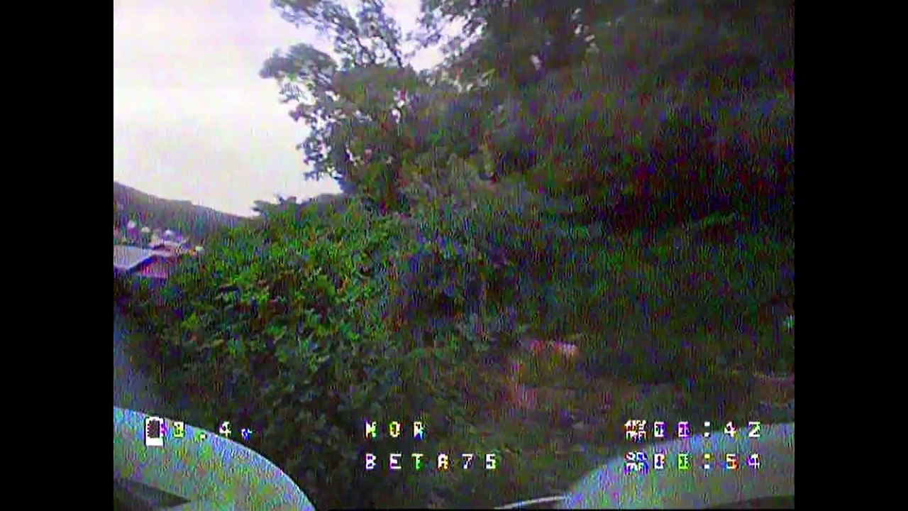 Tiny Whoop Fpv - Backyard flying