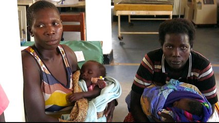 Malaria eradication work underfunded and could stall, says WHO