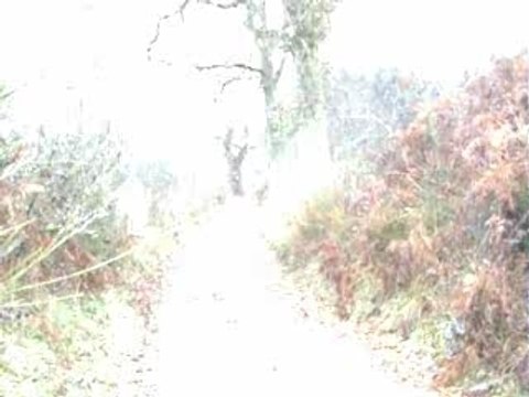 Moto quad 125 cr 250 yzf