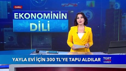 Yayla Evi İçin 300 TL'ye Tapu Aldılar