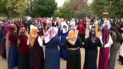 Şanlıurfa’da Aşiret Lideri 24’üncü Çocuğunu Evlendirdi