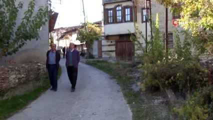 Beyelması Köyü Sakinleri Kediler İçin Bir Araya Geldi