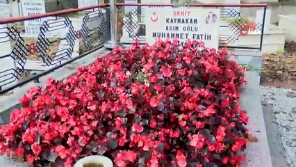 Bakan Soylu, Şehit Kaymakam Safitürk’ün Mezarı Başında Dua Etti