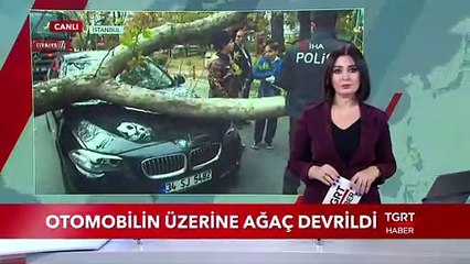 Otomobilin Üzerine Ağaç Devrildi