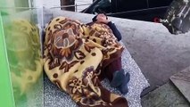 İstanbul'un Göbeği Taksim'de Çocukların İçler Acıtan Görüntüsü...