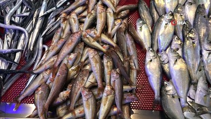 Hamsinin fiyatı borsa gibi bir iniyor bir çıkıyor