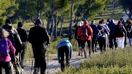 PLUS QU'UN CUB : Plus qu'un club : La marche nordique