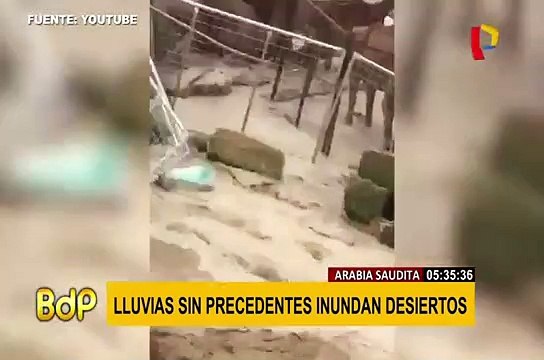 Inundaciones registradas en Arabia Saudita dejan 35 personas fallecidas