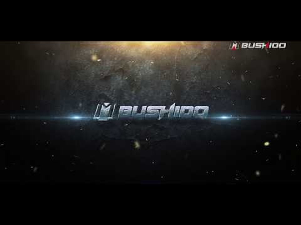 MMA BUSHIDO'74 IN VILNIUS