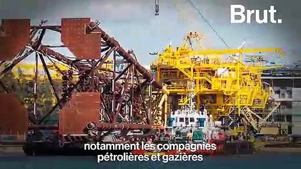 L’ONG ZEA lutte contre l’annexion des océans par les industries minières