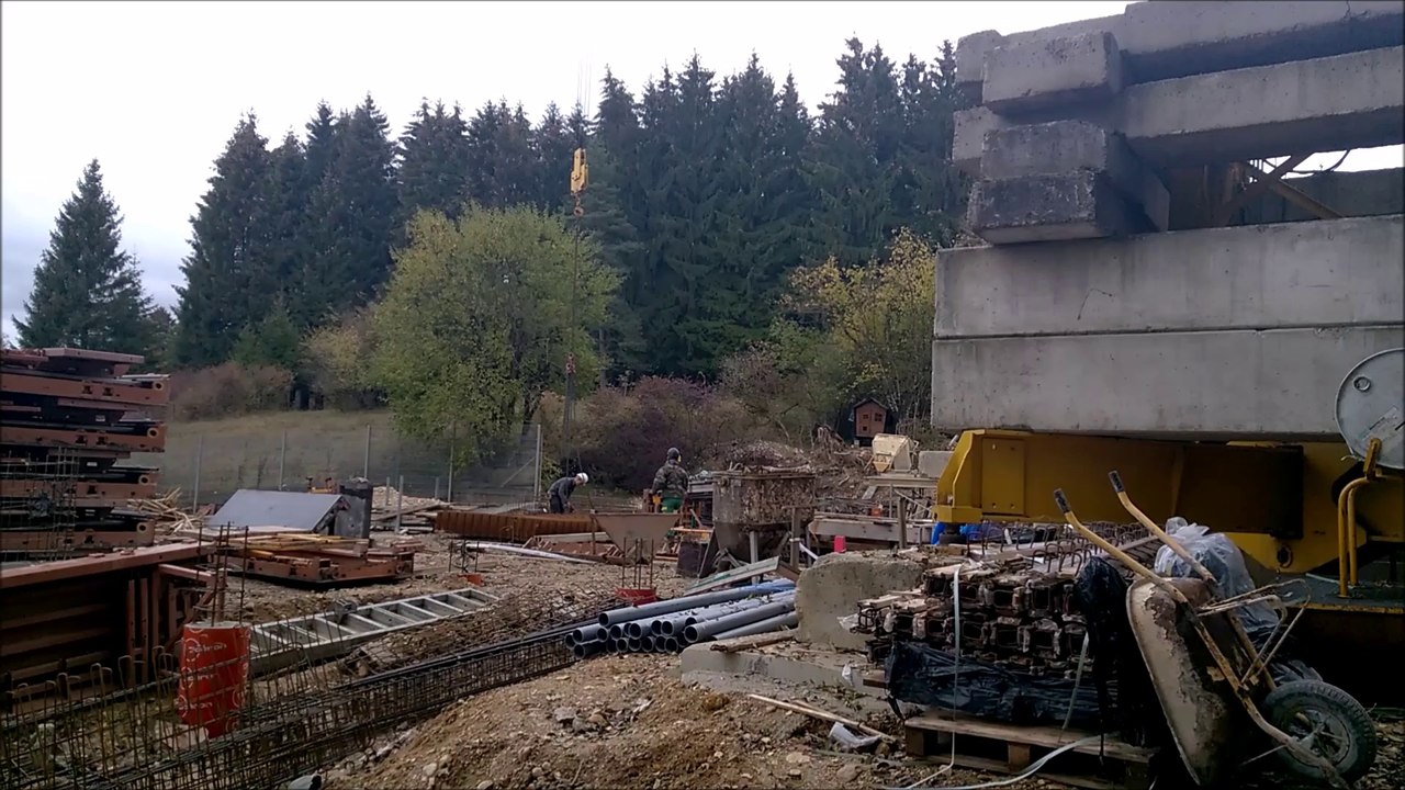 Oyonnax : un nouveau foyer pour les animaux pour l'été 2019