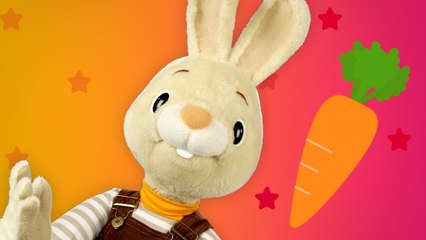 Coleção do Coelhinho Harry | Videos Educativos Para Crianças | Desenhos Educativos | BabyFirst TV