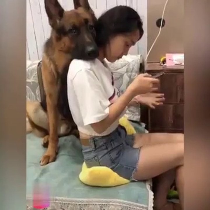 Son berger allemand est dressé pour la sauver dans n'importe quelle situation