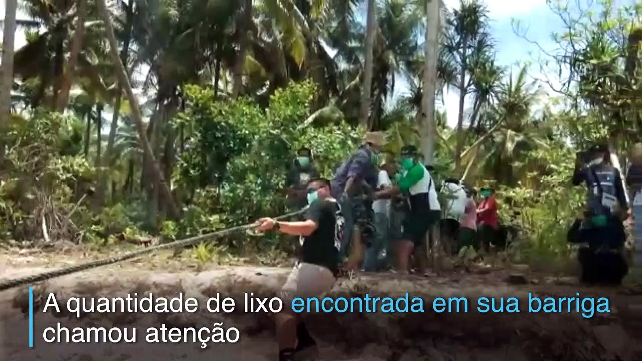 Poluição fatal