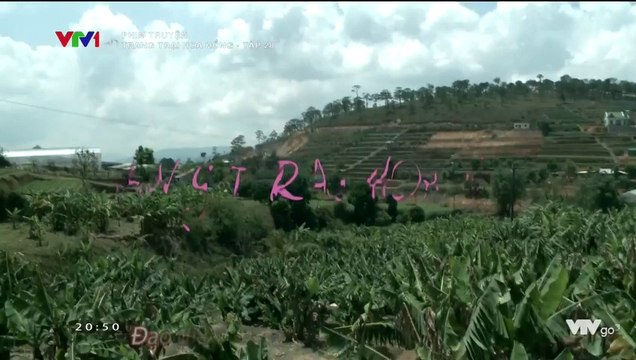 Trang Trạ Hoa Hồ Tậ 33 - Phim Việ Nam (Phim Mớ Hay)