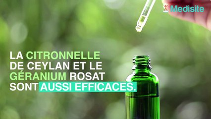 4 trucs pour en finir avec les moustiques sans pesticides