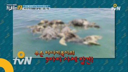위기의 동물들! 돌아올 수 없는 여정  [지구를 멸망시키는 인간의 탐욕19]