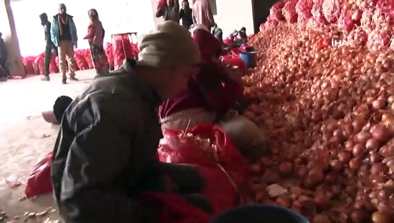 Bakanlık, Fiyatların Yükselmesine Neden Olan Stok Soğanın Peşinde