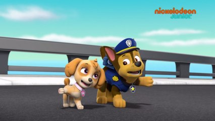 Paw Patrol : la Pat'Patrouille | Funambule dans le vent | NICKELODEON JUNIOR