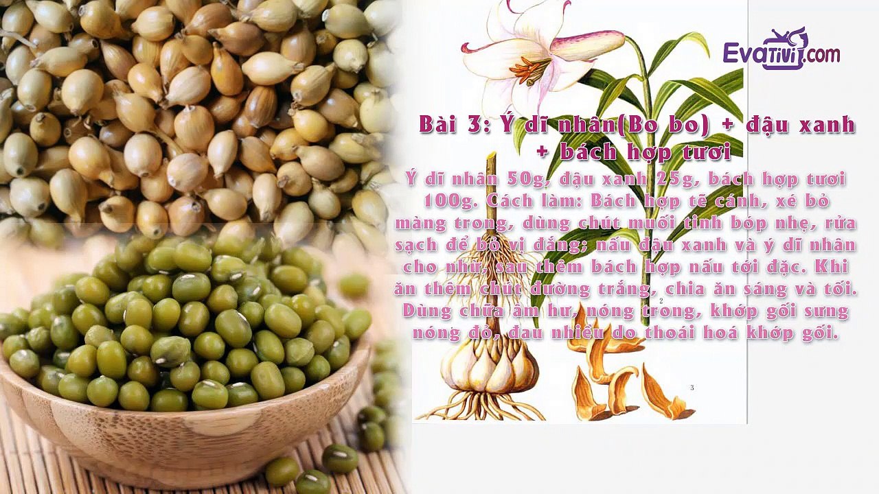 3. Evativi - Bài thuốc dân gian: Món ăn cho người bệnh xương khớp