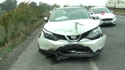 Yola Çıkan Köpek Faciaya Neden Oluyordu.