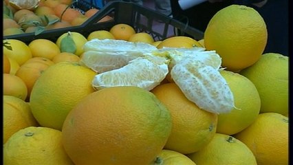 قد لا تصدق.. ورود وحمضيات ونعناع في صحراء الجزائر