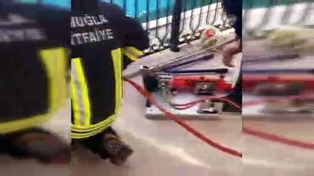 Balkon korkuluğa sıkışan köpeği itfaiye kurtardı